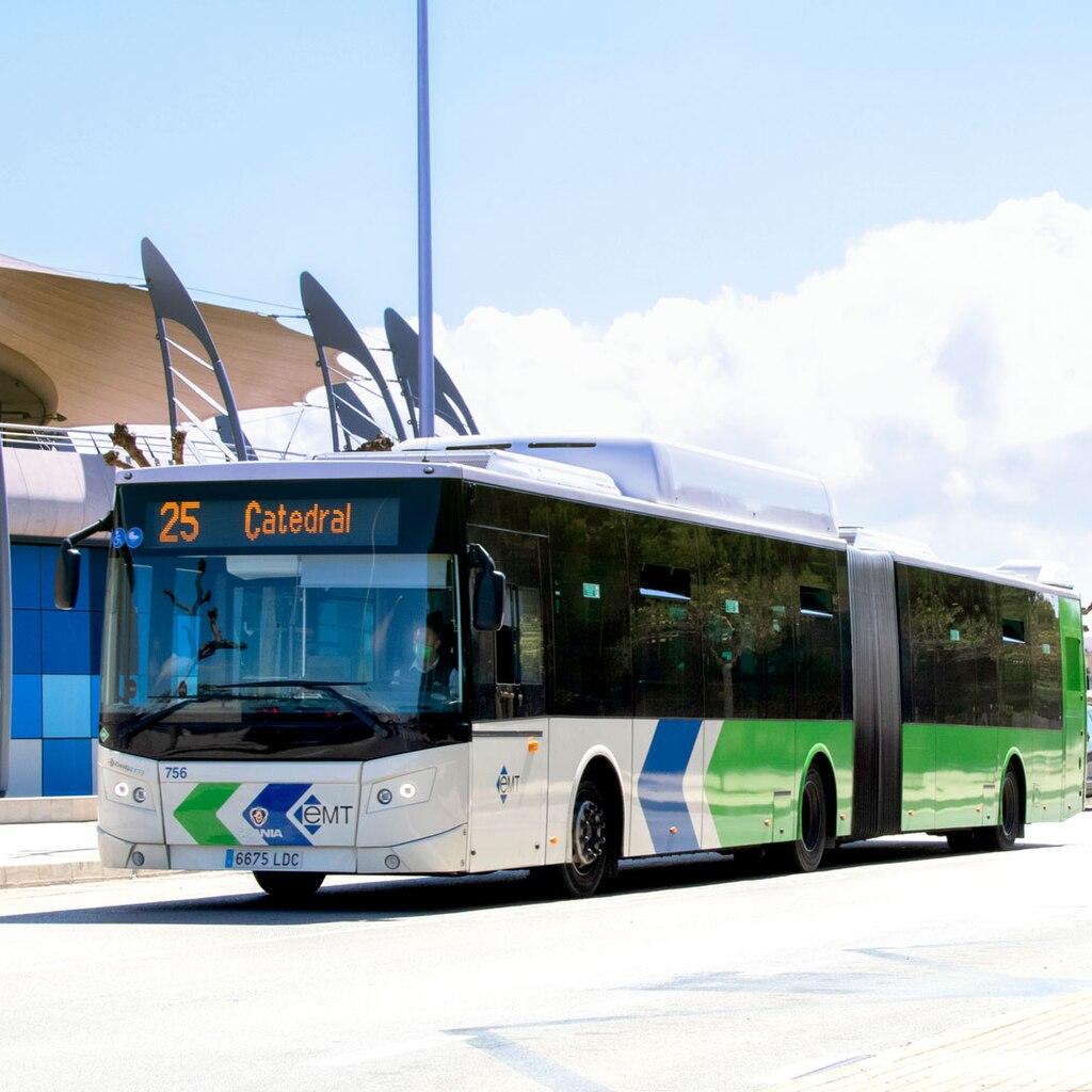 Palma public bus