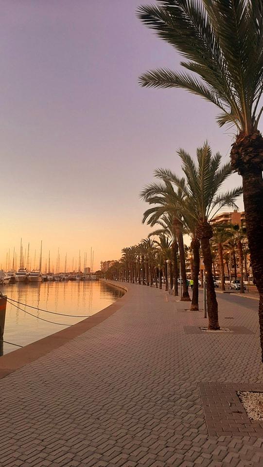 Paseo Maritimo sunset Palma