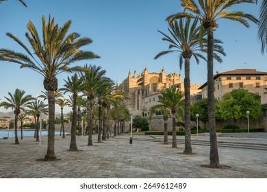 Parc de la Mar Palma sunrise view