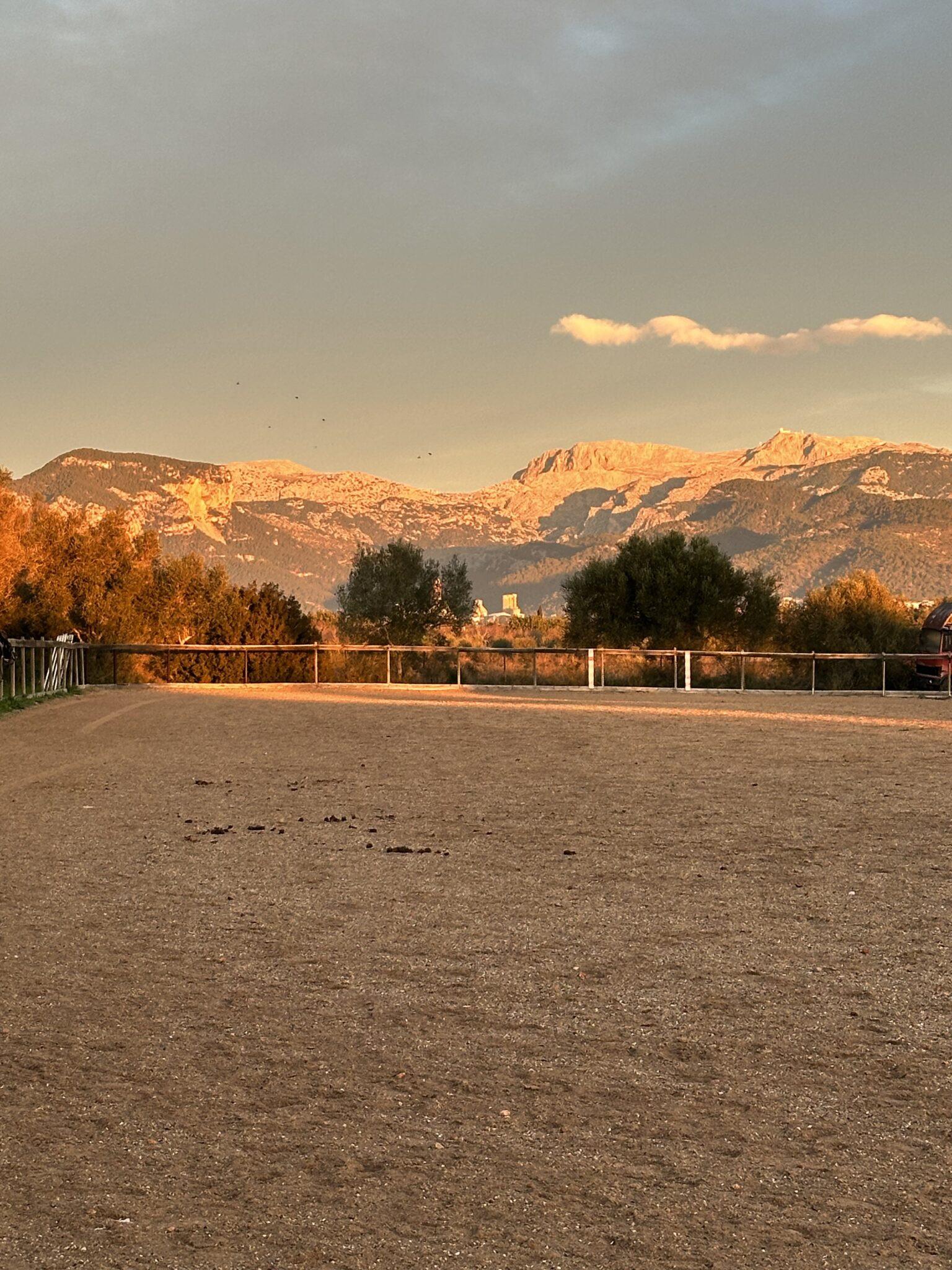 Can Cavall Blau Mallorca open farm